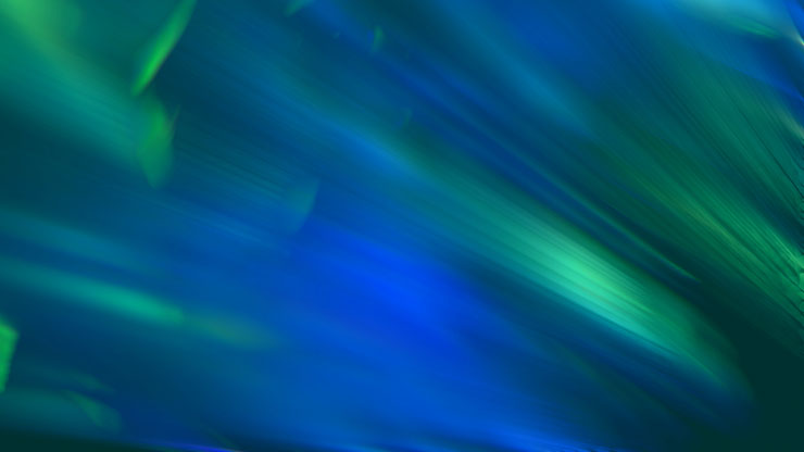 Luminous Collection: 11 - Motion