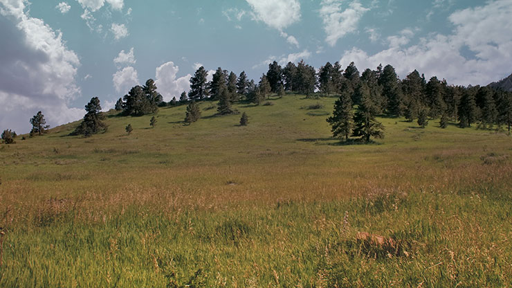 Flatirons Collection: Flatirons 11 Still