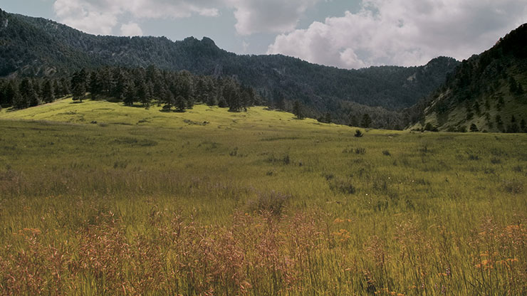 Flatirons Collection: Flatirons 17 Still