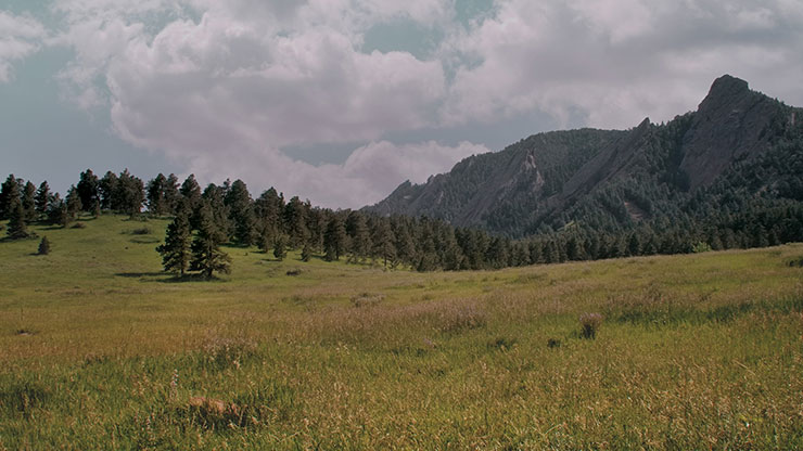 Flatirons Collection: Flatirons 6 Motion