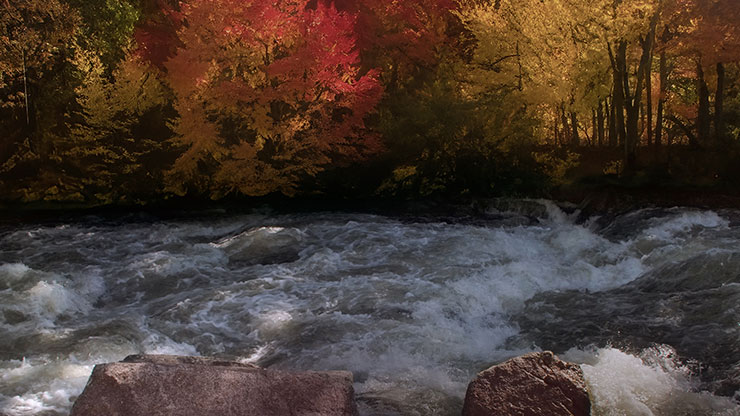 Northwest Fall Collection: Northwest Fall 11 Motion