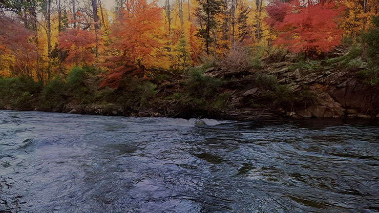 Northwest Fall Collection: Northwest Fall 13 Still