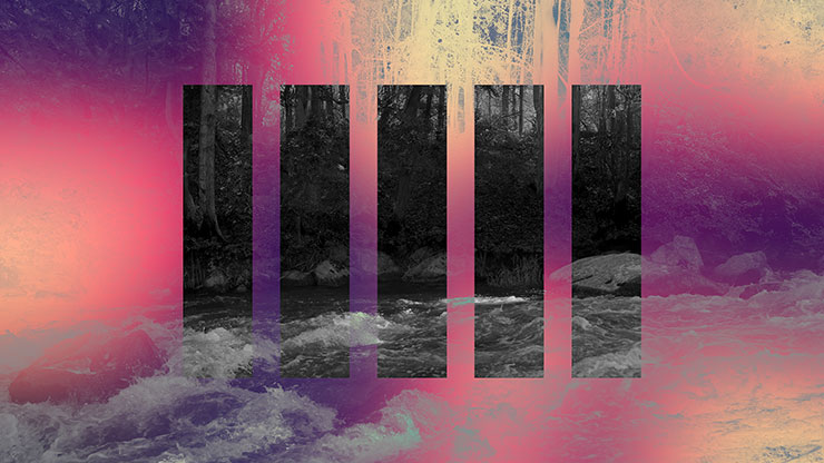 Northwest Fall Collection: Northwest Fall 3 Remix Still