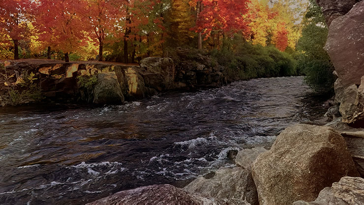 Northwest Fall Collection: Northwest Fall 4 Motion