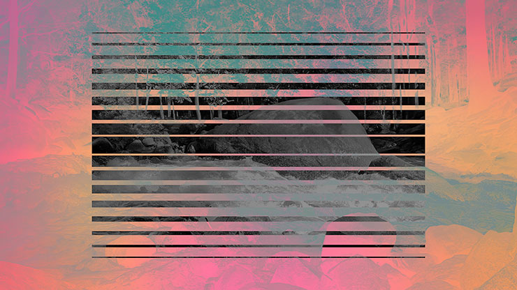 Northwest Fall Collection: Northwest Fall 7 Remix Still