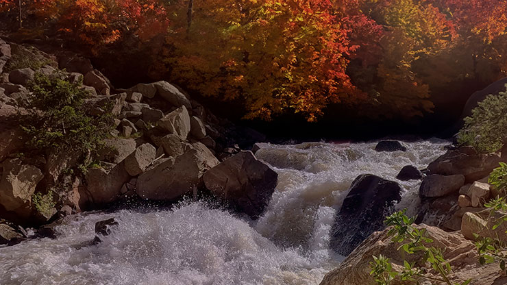 Northwest Fall Collection: Northwest Fall 8 Motion