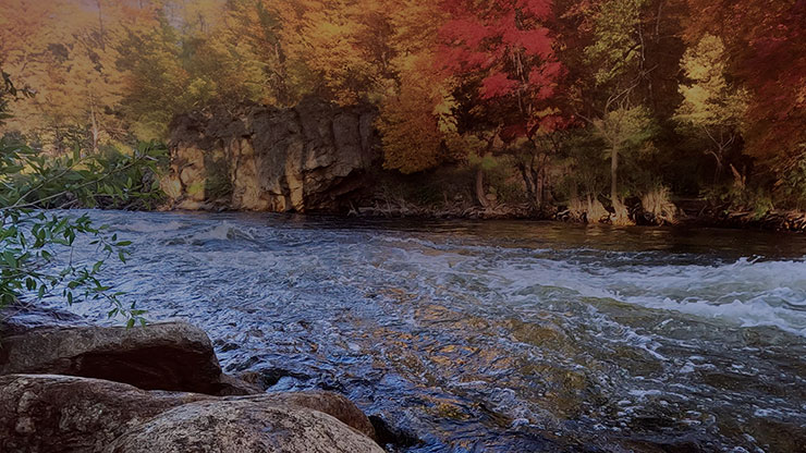 Northwest Fall Collection: Northwest Fall 9 Still