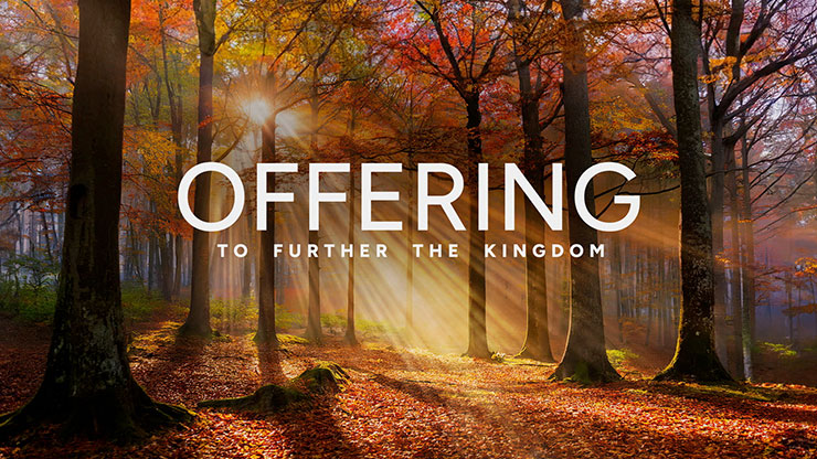 Autumn Light Collection: Autumn Light Offering