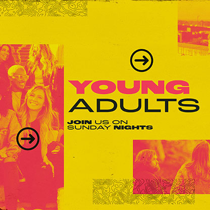 Young Adults: Social Media Graphic