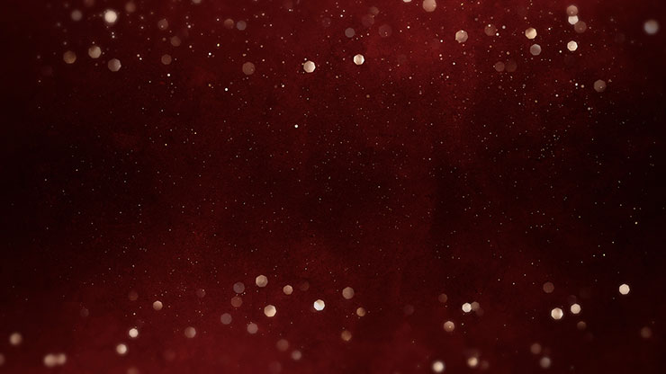 Christmas Shimmer Collection: Christmas Shimmer 12 Still