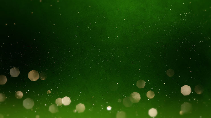 Christmas Shimmer Collection: Christmas Shimmer 14 Still