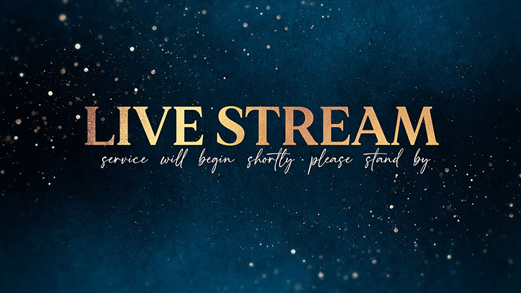 Christmas Shimmer Collection: Christmas Shimmer Live Stream