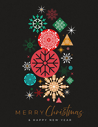 Merry Christmas & Happy New Year: Flyer