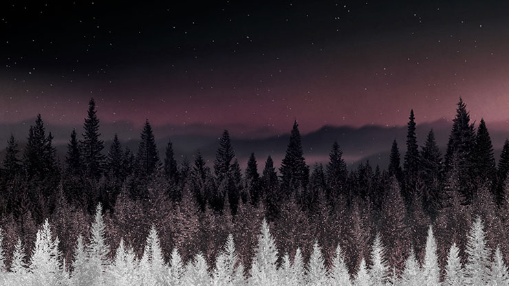 Sparkling Trees Collection: Sparkling Trees 3 Motion