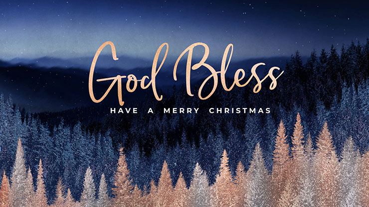 Sparkling Trees Collection: Sparkling Trees Christmas Close