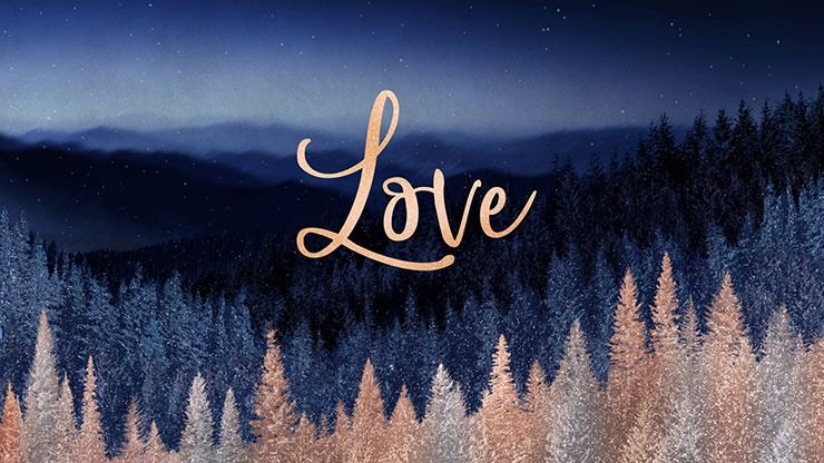 Sparkling Trees Collection: Sparkling Trees Love