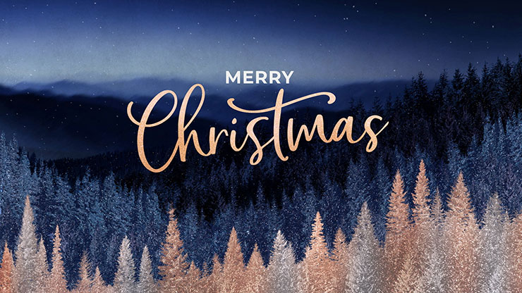 Sparkling Trees Collection: Sparkling Trees Merry Christmas