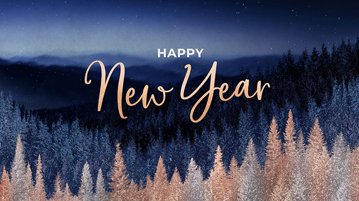 Sparkling Trees Collection: Sparkling Trees New Year