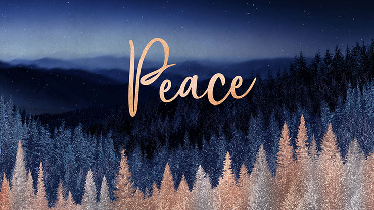 Sparkling Trees Collection: Sparkling Trees Peace