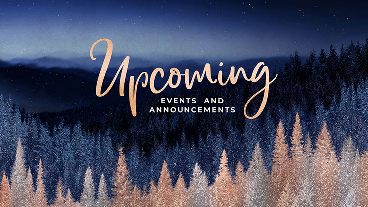Sparkling Trees Collection: Sparkling Trees Upcoming