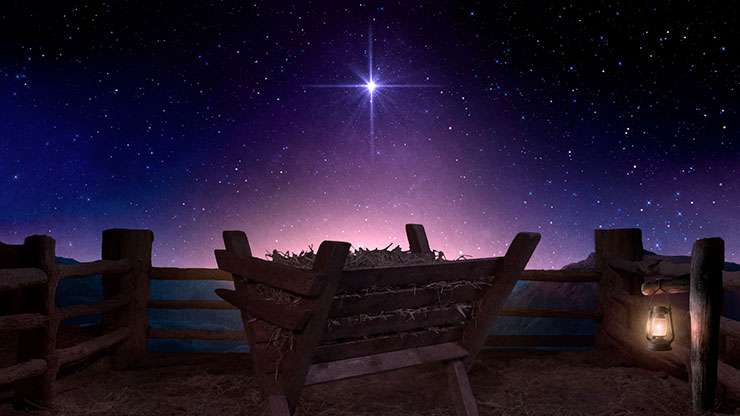 Christmas Journey Collection: Christmas Journey 7 Motion