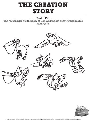 The Creation Story: Coloring Pages