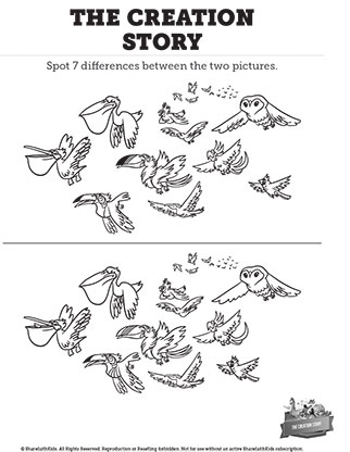 The Creation Story: Spot the Difference