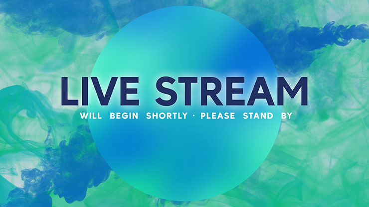 Palm Sunday Haze Collection: Palm Sunday Haze Live Stream