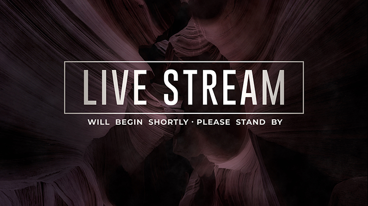 Canyon Collection: Canyon Live Stream