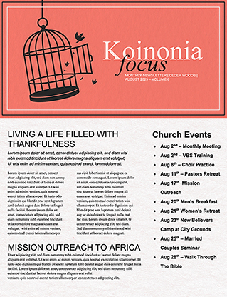The Art Of Apology: Newsletter