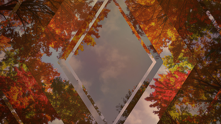 Fall Trees Collection: Fall Trees 1 Remix Still