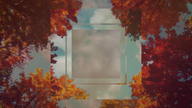 Fall Trees Collection: Fall Trees 3 Remix Still