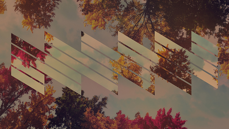 Fall Trees Collection: Fall Trees 5 Remix Motion