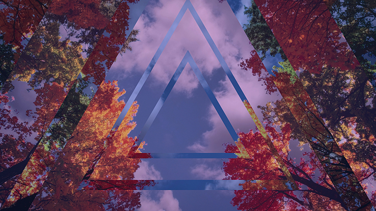 Fall Trees Collection: Fall Trees 6 Remix Still