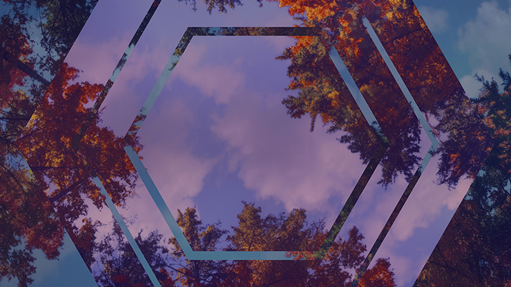 Fall Trees Collection: Fall Trees 8 Remix Still
