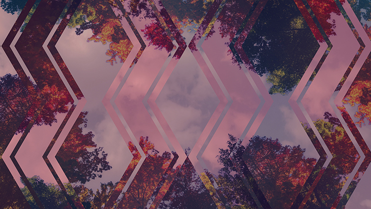 Fall Trees Collection: Fall Trees 9 Remix Still