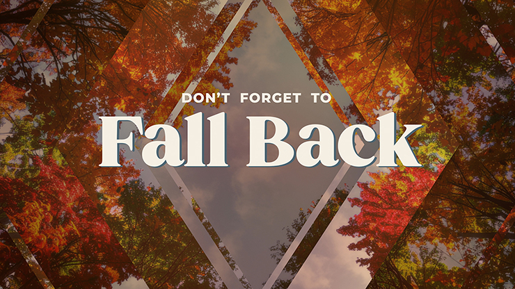 Fall Trees Collection: Fall Trees Fall Back