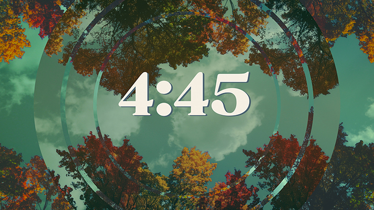 Fall Trees Collection: Fall Trees Minimal Countdown