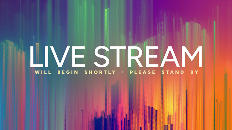 Prisma Collection: Prisma Live Stream
