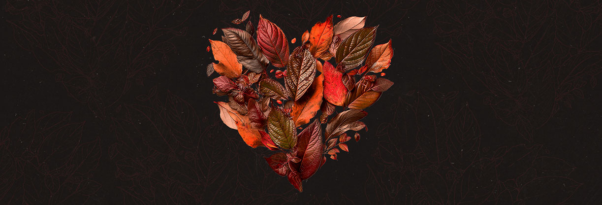 A Thankful Heart: Web Banner