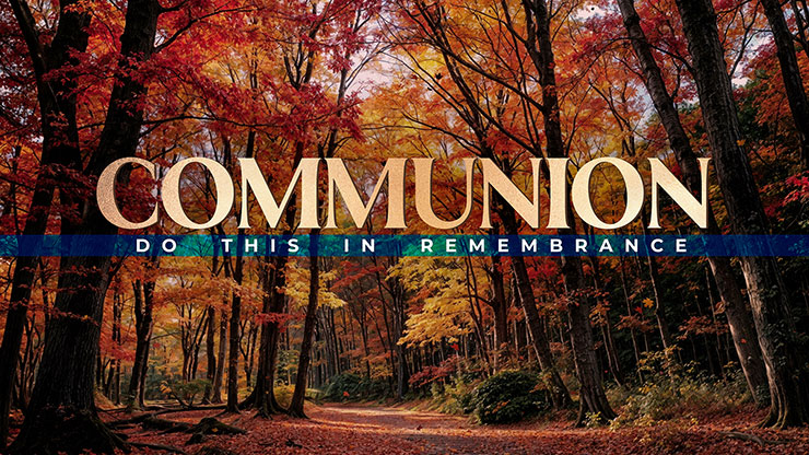 Forest Fall Collection: Forest Fall Communion
