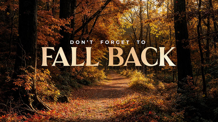 Forest Fall Collection: Forest Fall Fall Back