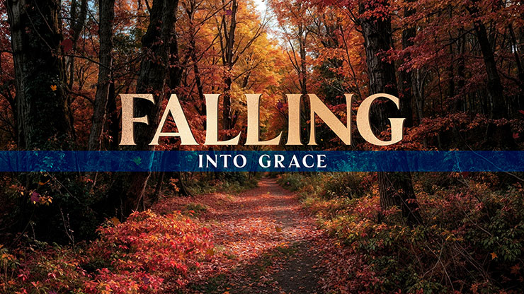 Forest Fall Collection: Forest Fall Falling into Grace