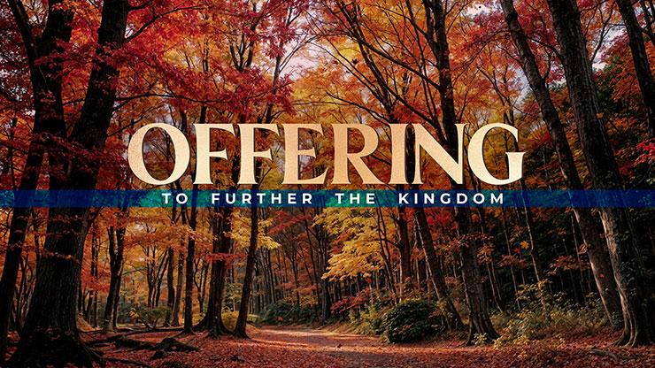 Forest Fall Collection: Forest Fall Offering