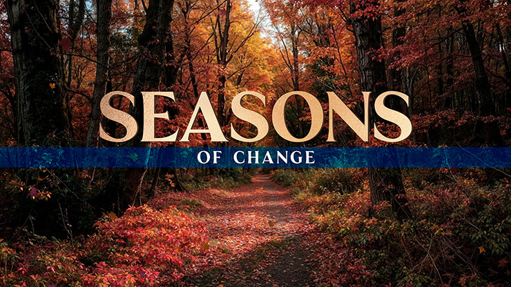 Forest Fall Collection: Forest Fall Seasons of Change