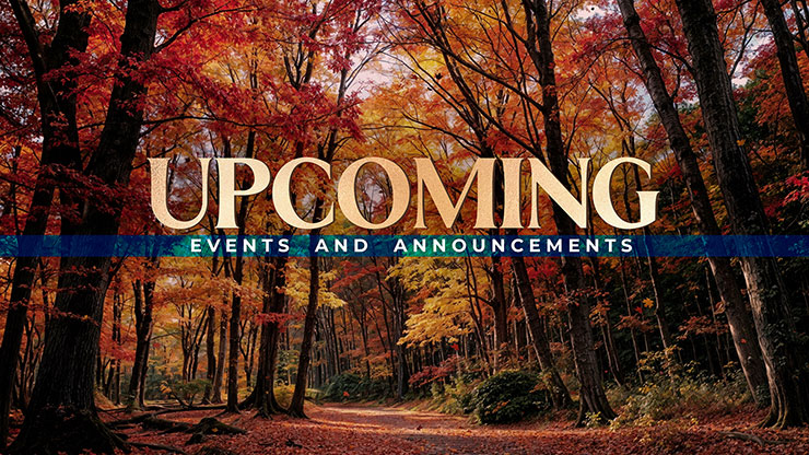 Forest Fall Collection: Forest Fall Upcoming