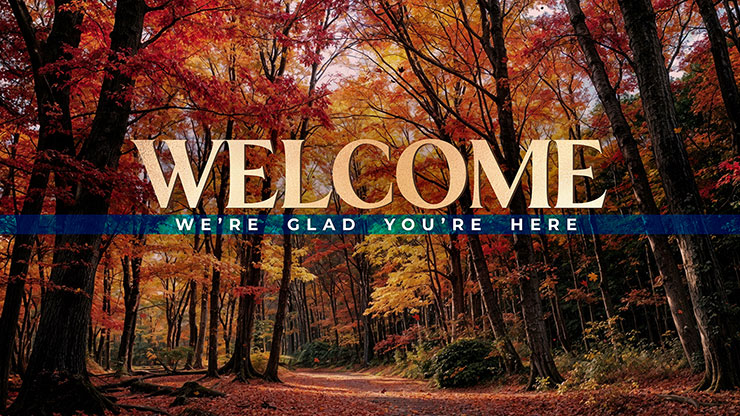 Forest Fall Collection: Forest Fall Welcome