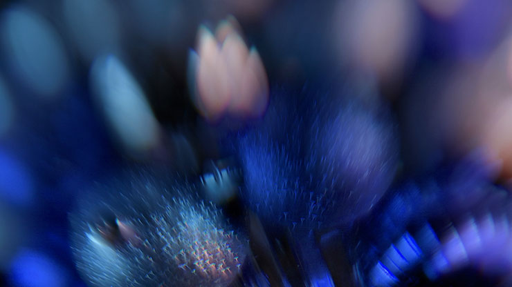Christmas Ornamental Collection: Christmas Ornamental 10 Motion