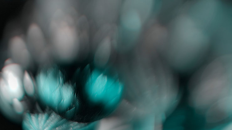 Christmas Ornamental Collection: Christmas Ornamental 12 Motion