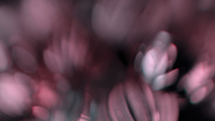 Christmas Ornamental Collection: Christmas Ornamental 15 Motion